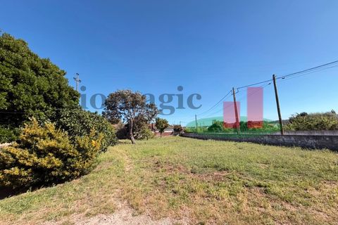 Villa i Rio Maior, Santarem, Rio Maior - € 240.000 | Ref: 183.26 - foto 37