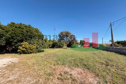 Villa i Rio Maior, Santarem, Rio Maior - € 240.000 | Ref: 183.26 - foto 38