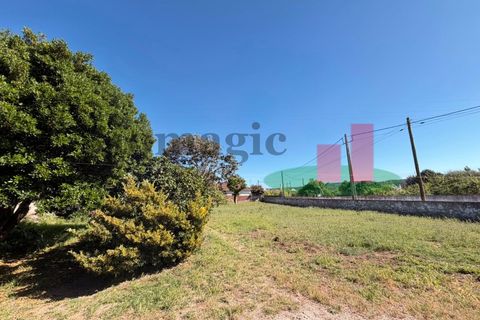 Villa i Rio Maior, Santarem, Rio Maior - € 240.000 | Ref: 183.26 - foto 40