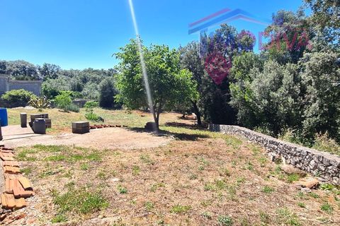 Villa i Ansiao, Leiria, Ansiao - € 320 000 | Ref: DV469/0626 - foto 17