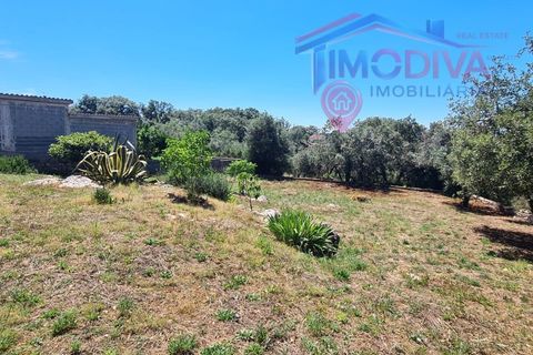 Villa i Ansiao, Leiria, Ansiao - € 320 000 | Ref: DV469/0626 - foto 18