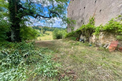Farm i Nuars, Nievre, Nuars - € 58.000 | Ref: 119_FRM58 - foto 25
