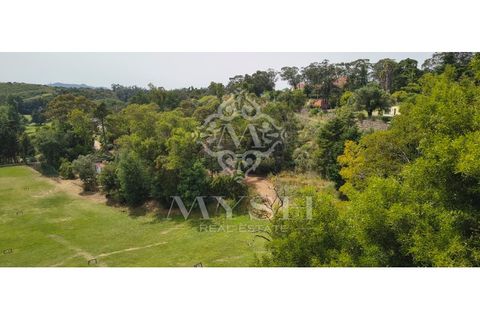 Villa i Belas, Lisbon, Belas - € 2.100.000 | Ref: 666-66 - foto 7