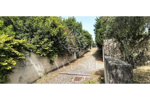 Villa i Belas, Lisbon, Belas - € 2.100.000 | Ref: 666-66 - foto 10