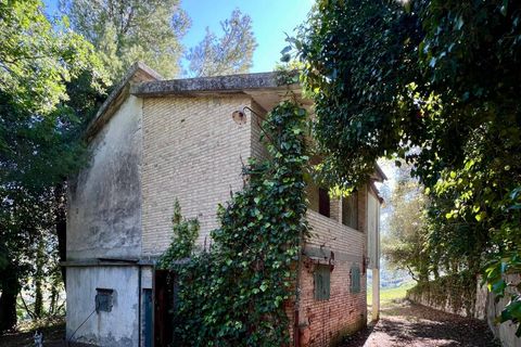 Landejendom i Ripatransone, Ascoli Piceno, Ripatransone - € 210.000 | Ref: 34216 - foto 4