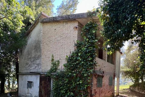 Landejendom i Ripatransone, Ascoli Piceno, Ripatransone - € 210.000 | Ref: 34216 - foto 5