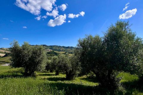 Landejendom i Ripatransone, Ascoli Piceno, Ripatransone - € 210.000 | Ref: 34216 - foto 6