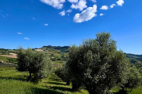 Landejendom i Ripatransone, Ascoli Piceno, Ripatransone - € 210.000 | Ref: 34216 - foto 7