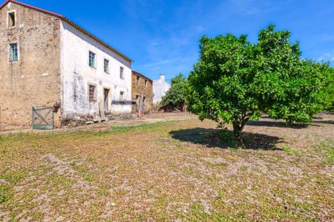 Villa i Macao, Santarem, Macao - € 75 000 | Ref: CAS_408 - foto 22