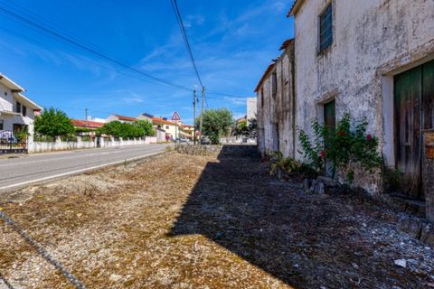 Villa i Macao, Santarem, Macao - € 75 000 | Ref: CAS_408 - foto 43