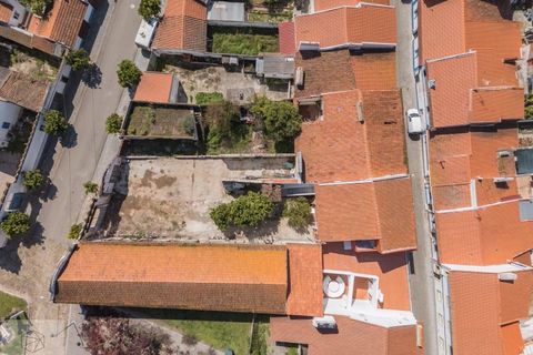 Villa em Avis, Portalegre, Avis - € 445.000 | Ref: Citage 293/26 - foto 2