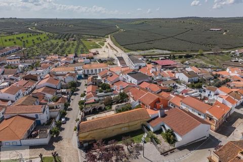 Villa em Avis, Portalegre, Avis - € 445.000 | Ref: Citage 293/26 - foto 7