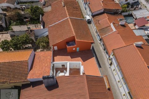 Villa em Avis, Portalegre, Avis - € 445.000 | Ref: Citage 293/26 - foto 10