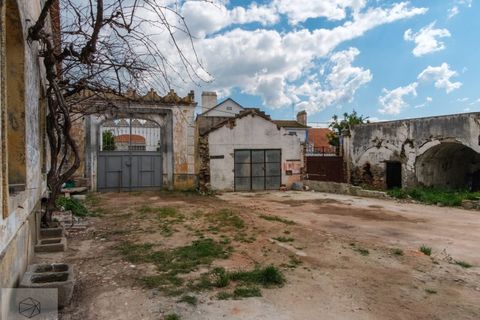 Villa em Avis, Portalegre, Avis - € 445.000 | Ref: Citage 293/26 - foto 48