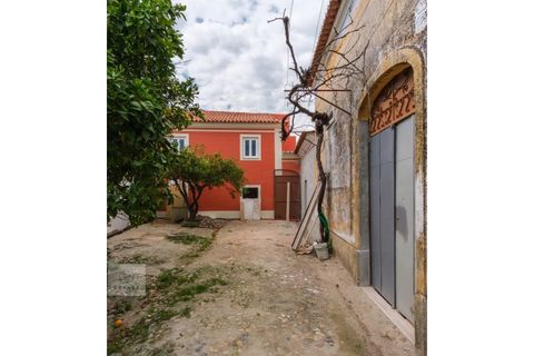 Villa em Avis, Portalegre, Avis - € 445.000 | Ref: Citage 293/26 - foto 49