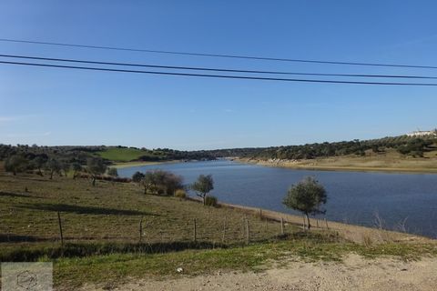 Villa em Avis, Portalegre, Avis - € 199.000 | Ref: Citage 66/22 - foto 13