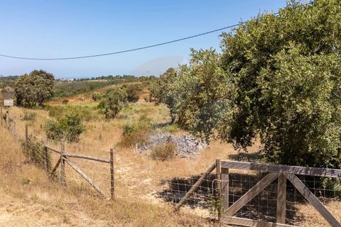 Villa i Aljezur, Faro, Aljezur - € 430.000 | Ref: Qt-1036 - foto 5