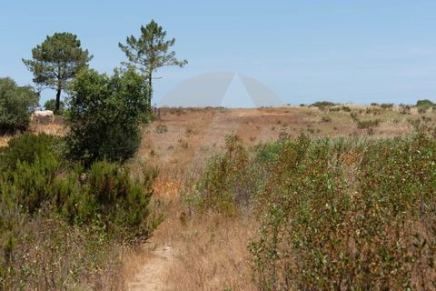 Villa i Aljezur, Faro, Aljezur - € 430.000 | Ref: Qt-1036 - foto 14