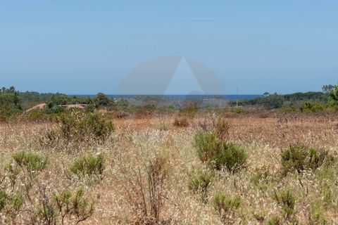 Villa i Aljezur, Faro, Aljezur - € 430.000 | Ref: Qt-1036 - foto 15