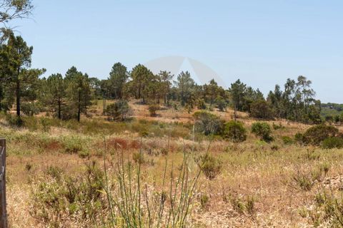 Villa i Aljezur, Faro, Aljezur - € 430.000 | Ref: Qt-1036 - foto 16