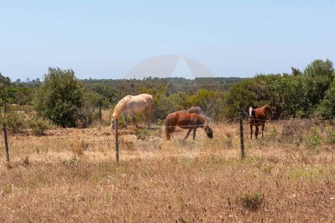 Villa i Aljezur, Faro, Aljezur - € 430.000 | Ref: Qt-1036 - foto 17