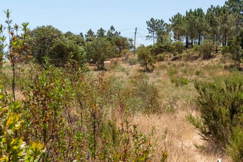 Villa i Aljezur, Faro, Aljezur - € 430.000 | Ref: Qt-1036 - foto 18