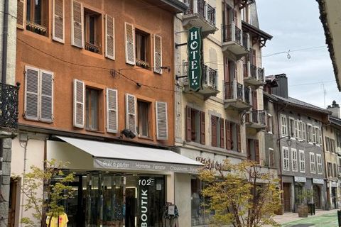 L'establiment comercial a Thones, Haute-Savoie, Thones - € 170.000 | Ref: FXXZ-A3O-EEP - foto 2