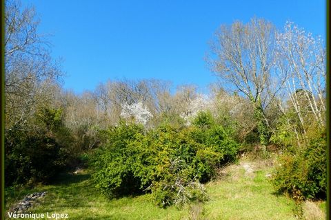 Villa a Agen, Lot-et-Garonne, Agen - € 395.000 | Ref: 340936449643 - foto 11