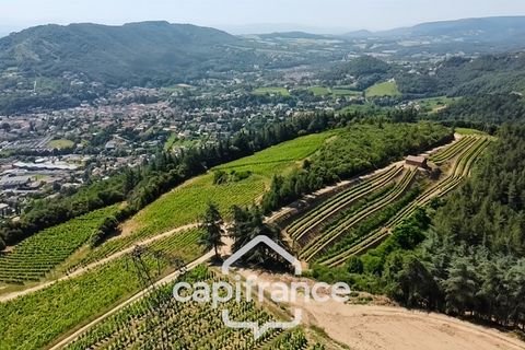 Villa en Cornas, Ardeche, Cornas - € 1.200.000 | Ref: 340931886053 - photo 31