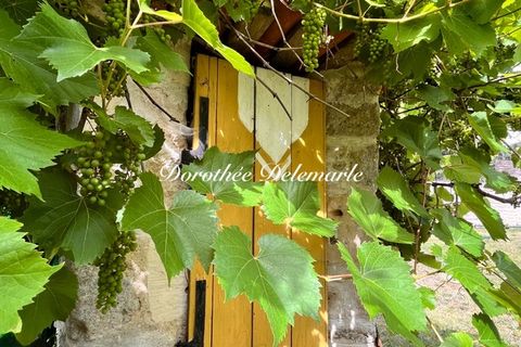 Villa a Migre, Charente-Maritime, Migre - € 336.900 | Ref: 340939388182 - foto 19