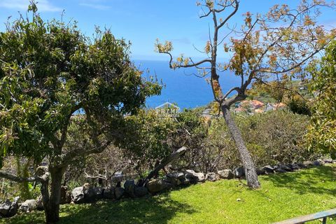 Villa i Calheta, Madeira, Calheta - € 895.000 | Ref: #1490 - foto 11