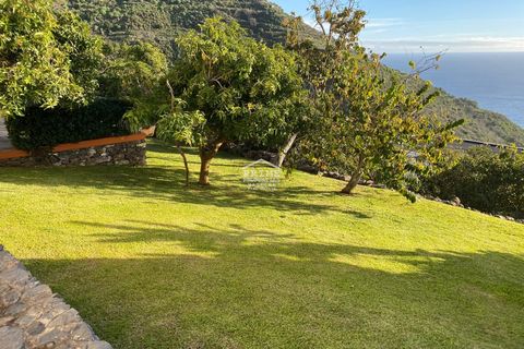 Villa i Calheta, Madeira, Calheta - € 895.000 | Ref: #1490 - foto 40