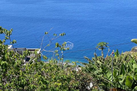 Villa i Calheta, Madeira, Calheta - € 895.000 | Ref: #1490 - foto 43