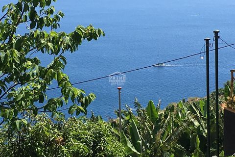 Villa i Calheta, Madeira, Calheta - € 895.000 | Ref: #1490 - foto 44