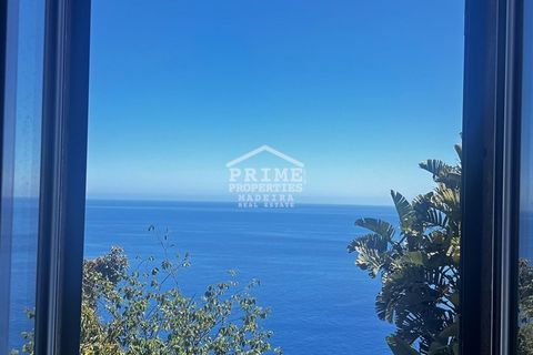 Villa i Calheta, Madeira, Calheta - € 895.000 | Ref: #1490 - foto 45