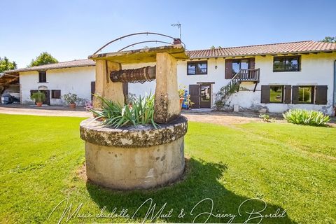 Villa i Saint-Bénigne, Ain, Saint-Bénigne - € 480.000 | Ref: 340936197144 - foto 40