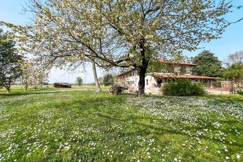 Byhus i Recetto, Novara, Recetto - € 400.000 | Ref: T928 - foto 15