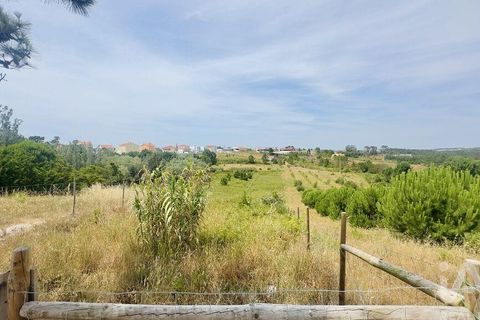 Helårsgrund i Torres Vedras, Lisbon, Torres Vedras - € 75.000 | Ref: 165189 - foto 2