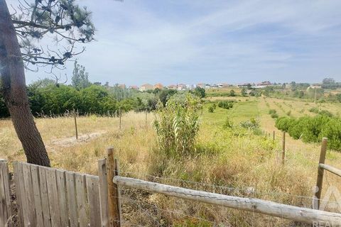 Helårsgrund i Torres Vedras, Lisbon, Torres Vedras - € 75.000 | Ref: 165189 - foto 3