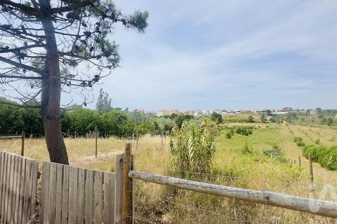 Helårsgrund i Torres Vedras, Lisbon, Torres Vedras - € 75.000 | Ref: 165189 - foto 1