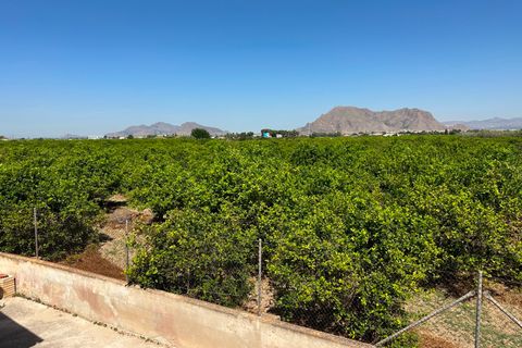 Byhus i Benejuzar, Alicante, Benejuzar - € 140.000 | Ref: CSPA-94175 - foto 18