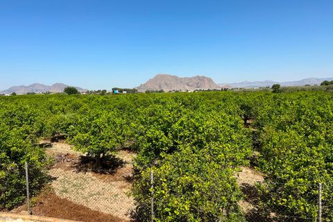 Byhus i Benejuzar, Alicante, Benejuzar - € 140.000 | Ref: CSPA-94175 - foto 21