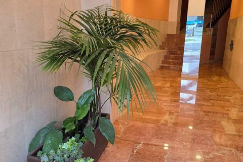 Àtic a Aviles, Asturias, Aviles - € 149.000 | Ref: CAS0107/6084 - foto 4