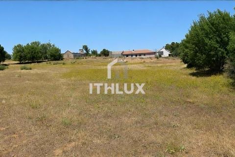 Terra a Braganca, Braganca, Braganca - € 50.000 | Ref: ITH4436 - foto 2