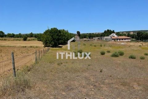 Terra a Braganca, Braganca, Braganca - € 50.000 | Ref: ITH4436 - foto 3