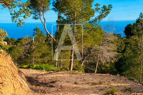 Helårsgrund i Altea, Alicante, Altea - € 190.000 | Ref: PAT0009 - foto 8