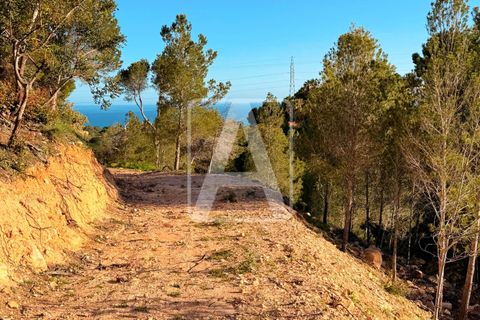 Helårsgrund i Altea, Alicante, Altea - € 190.000 | Ref: PAT0010 - foto 22