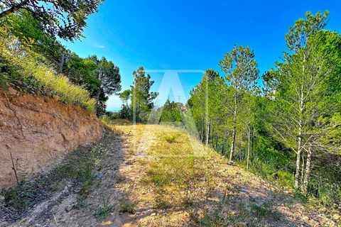 Helårsgrund i Altea, Alicante, Altea - € 380.000 | Ref: PAT0011 - foto 22
