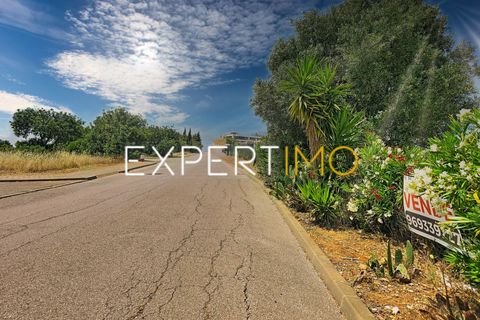 Helårsgrund i Estombar, Faro, Estombar - € 1.161.000 | Ref: TRU_2942_AENE - foto 23