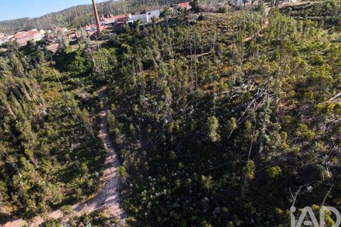 Helårsgrund i Leiria, Leiria, Leiria - € 150.000 | Ref: 949839 - foto 19